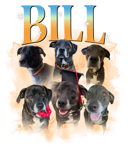bill.png