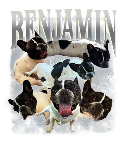 Benjamin + white.png