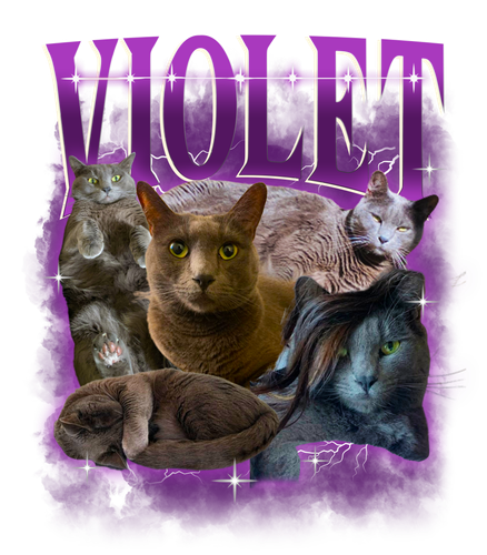 VIOLET.png