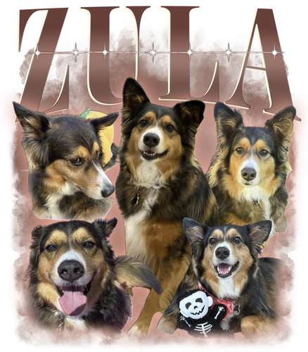 3083497555 zula.png