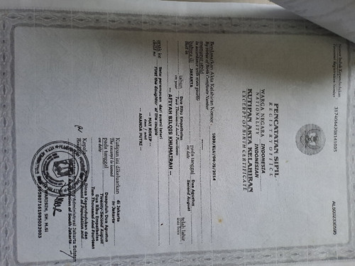 scaled 63bc22cd fbc1 4cf2 b436 253f5866d0446909714725959317315.jpg