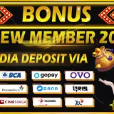 promo newmember (1)
