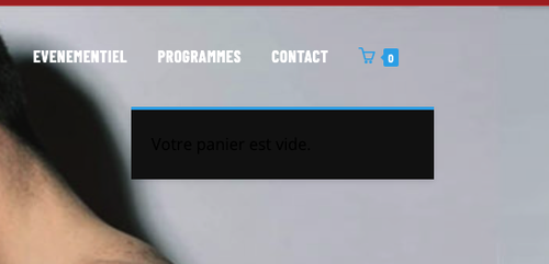 Capture d’écran 2023 11 22 à 13.44.06.png