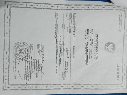 scaled IMG 20231122 193516.jpg