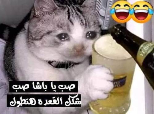FB IMG 1585942385061.jpg