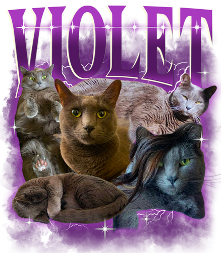 violet.png
