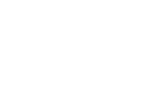 nexus sports logo.png