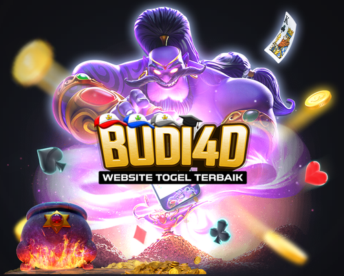 BUDI4D B1.png