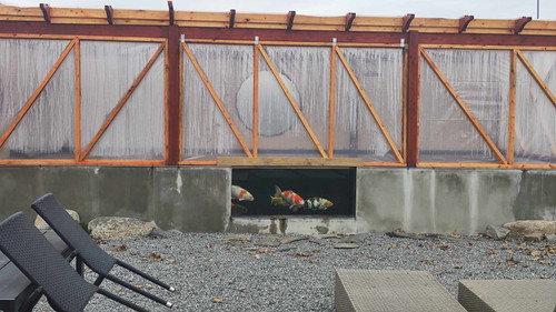 397111359 1134971517483756 4395128089681676585 n.jpg