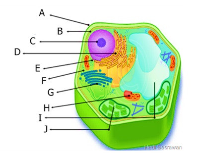 No. 3.jpg