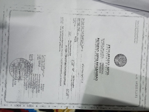 scaled IMG 20231122 223548.jpg