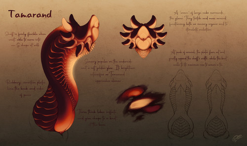 1639010952.queenpeen tamarand.jpg