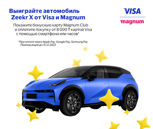 VISA Magnum 760x640 ru (1).jpg