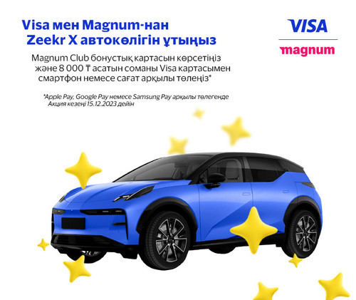 VISA Magnum 760x640 kz (1).jpg