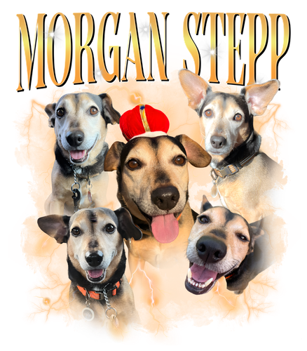 morgan stepp.png