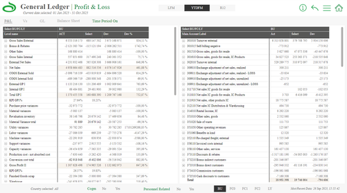 GL P&L view.png