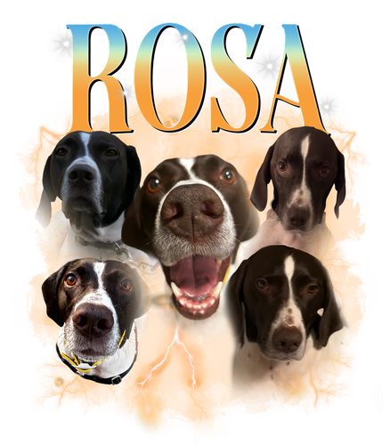 róa.png