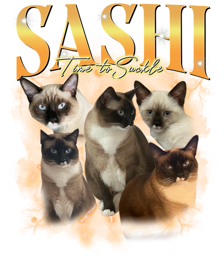 3104987546 Sashi.png