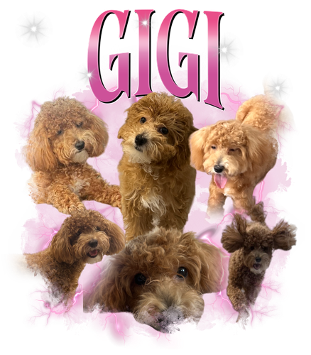 Gigi 1 + S1.png