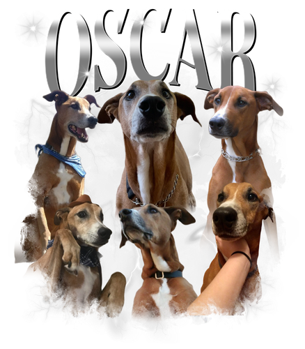 Oscar 8 + S1.png