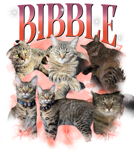 Bibble 12 + S1.png