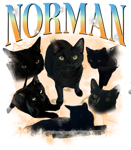 Norman 11 + S1.png