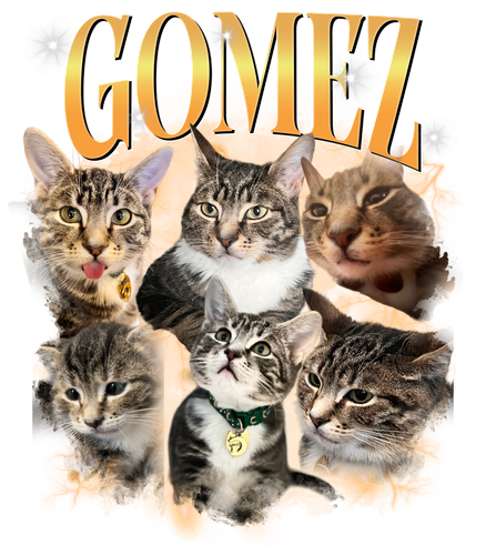 Gomez + 3 +S1.png