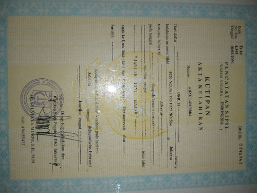 scaled bb350f4e 039d 411b ba32 0d8d513563f37311879789959266984.jpg