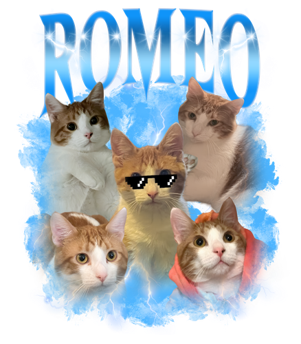 romeo.png