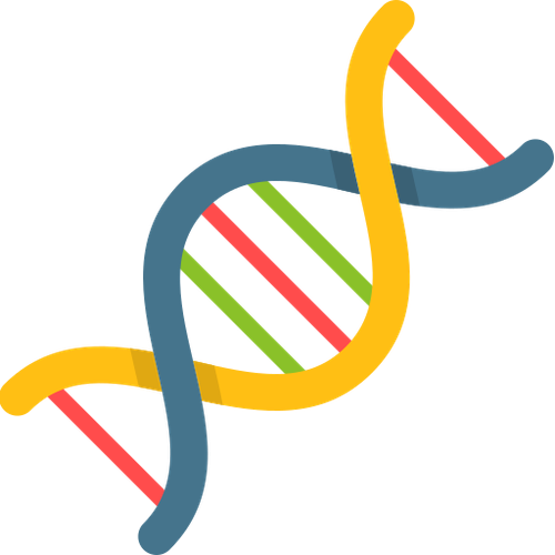 dna.png