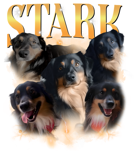 stark.png