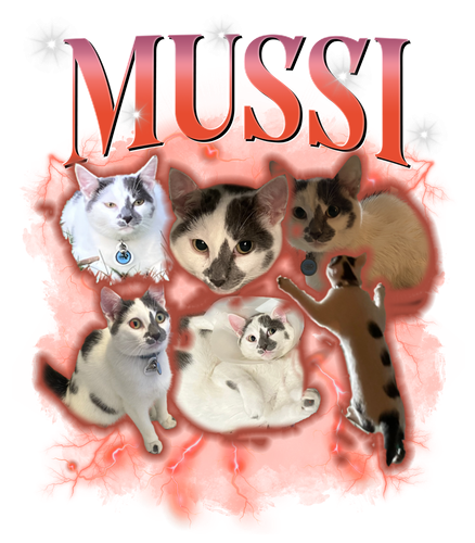 mussi.png