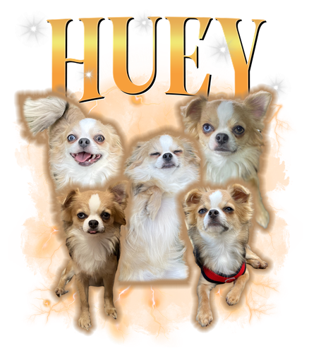 huey.png