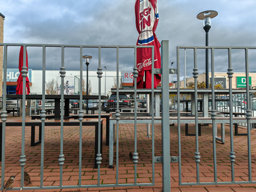 IMG 20231124 131641.jpg