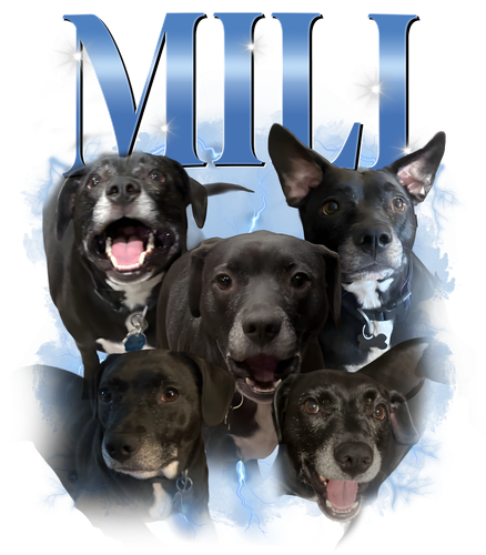 mili.png