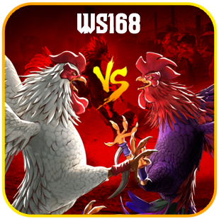 sabung ayam ws168.png