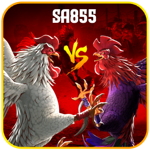 sabung ayam sa855.png