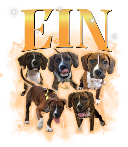 Ein.png
