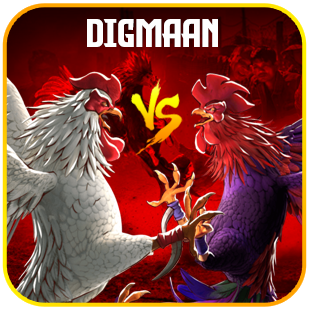 sabung ayam digmaan.png