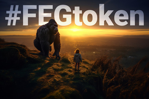 FEGtoken Travel Companion 06.jpg