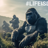 #FEGtoken Gorilla Journey 121