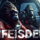 #FEGtoken Gorilla Journey 078
