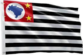 bandeira sp.jpg