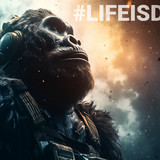 #FEGtoken Gorilla Journey 087