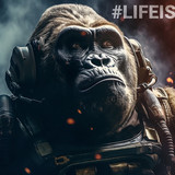 #FEGtoken Gorilla Journey 092