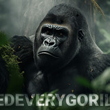 #FEGtoken Gorilla Journey 041