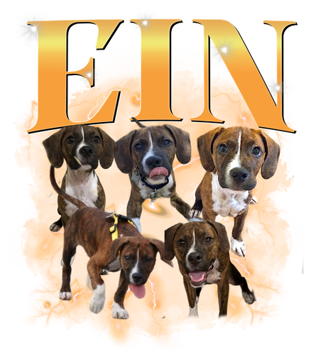 Ein.png