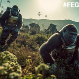 #FEGtoken Gorilla Journey 124