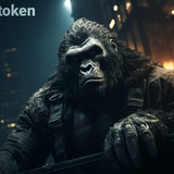 FEGtoken A Knight in the Dark 15