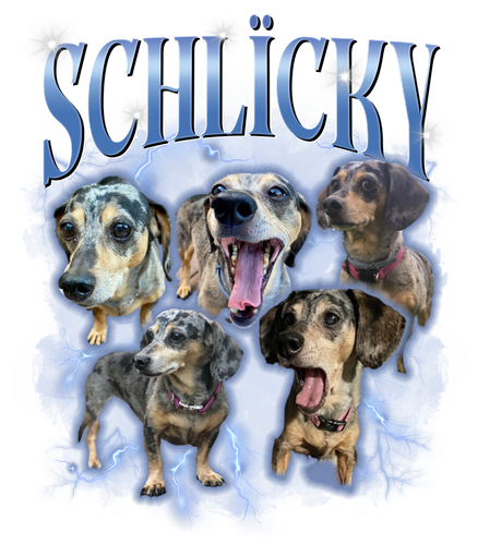 schlicky.png